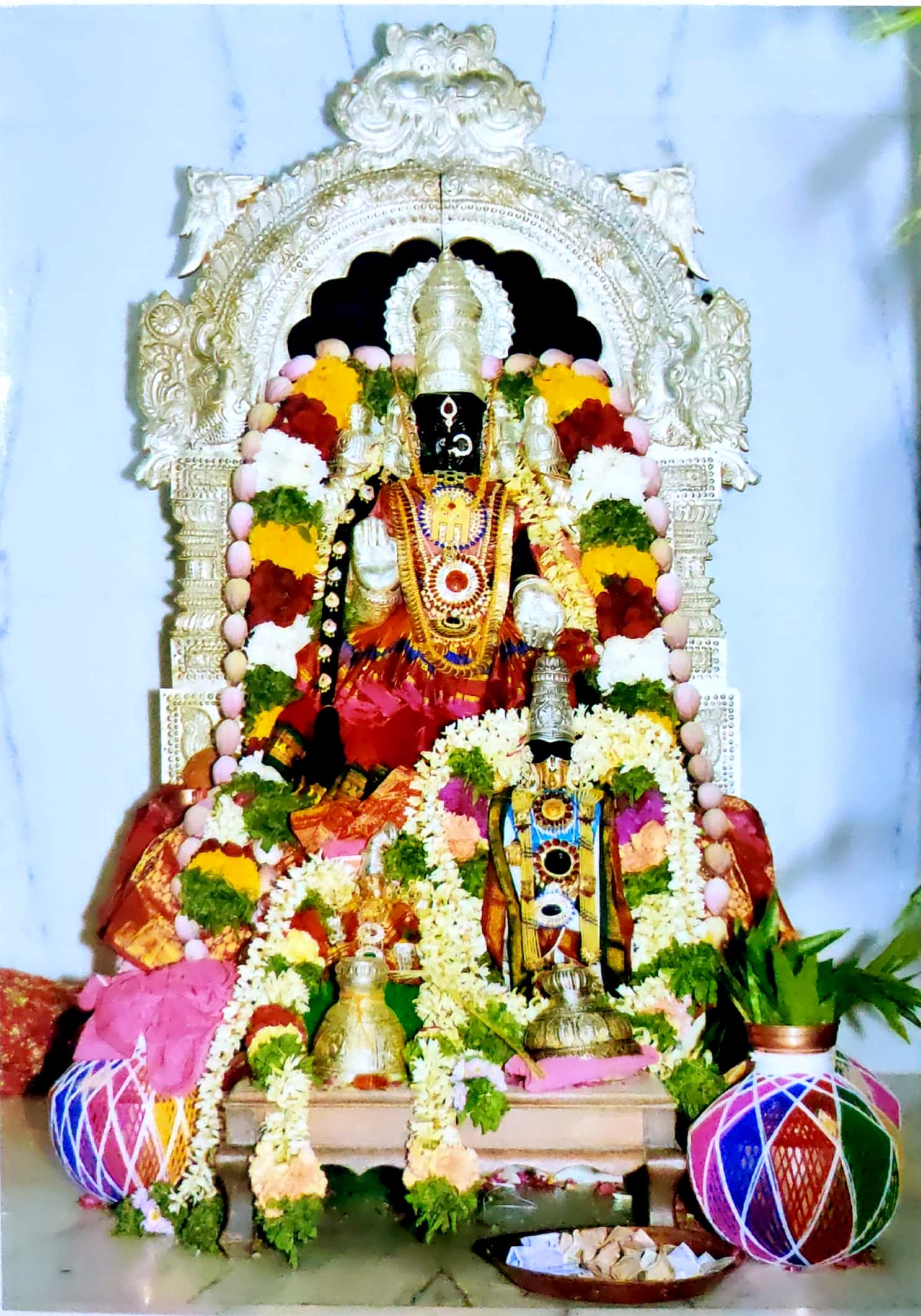 Mata Padmavati Ji Sthapna Diwas 2019